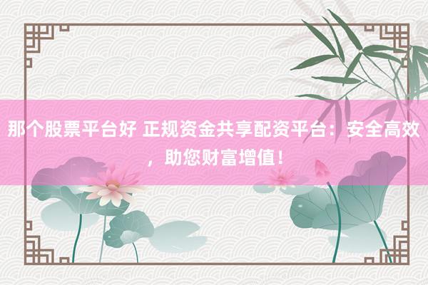 那個股票平臺好 正規(guī)資金共享配資平臺：安全高效，助您財富增值！