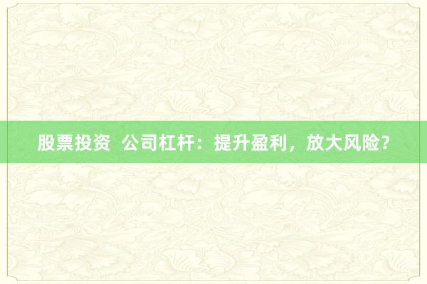 股票投資  公司杠桿：提升盈利，放大風(fēng)險？