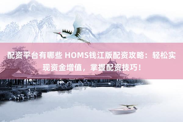 配資平臺有哪些 HOMS錢江版配資攻略：輕松實(shí)現(xiàn)資金增值，掌握配資技巧！