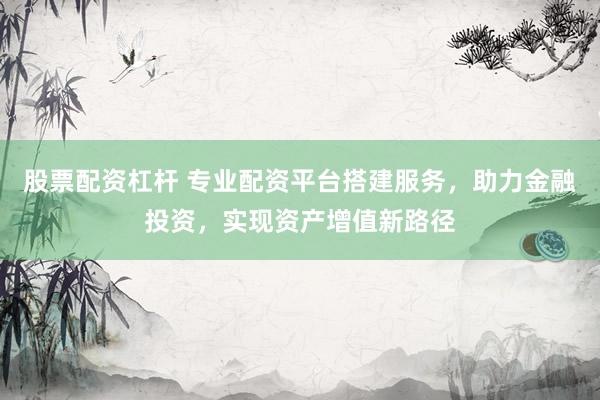 股票配資杠桿 專業(yè)配資平臺搭建服務(wù)，助力金融投資，實現(xiàn)資產(chǎn)增值新路徑