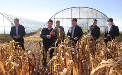 龍頭新聞:黑龍江八一農(nóng)墾大學(xué)與北大荒集團(tuán)和平牧場(chǎng)校企合作共建